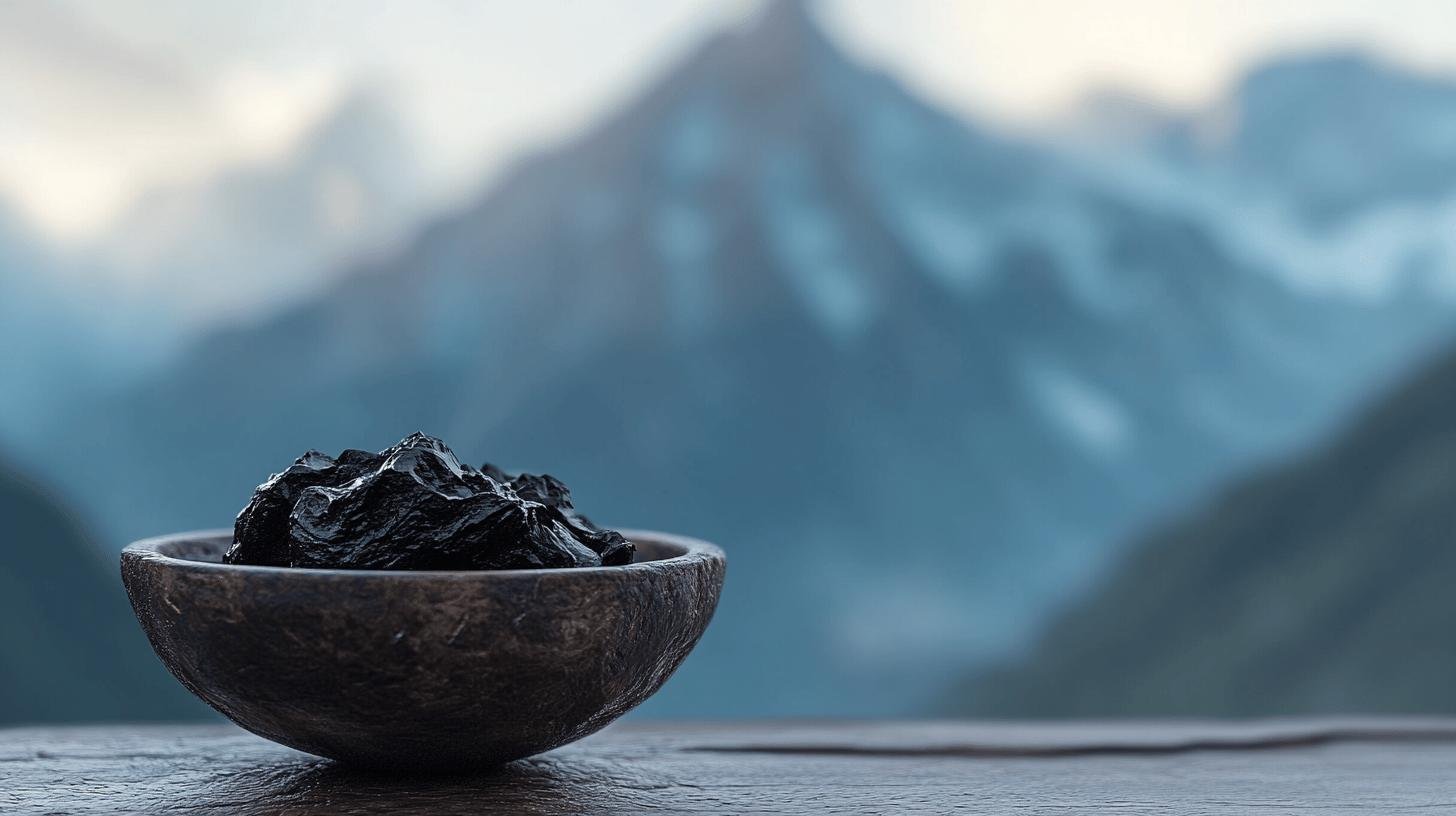 Comprendre le Shilajit pour une vie longue et saine-1.jpg