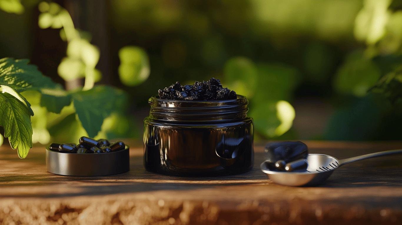 1<<<<Shilajit Origine et Composition.jpg