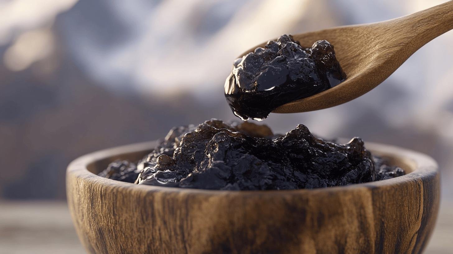 Shilajit pour la santé  Quest-ce que cest-1.jpg