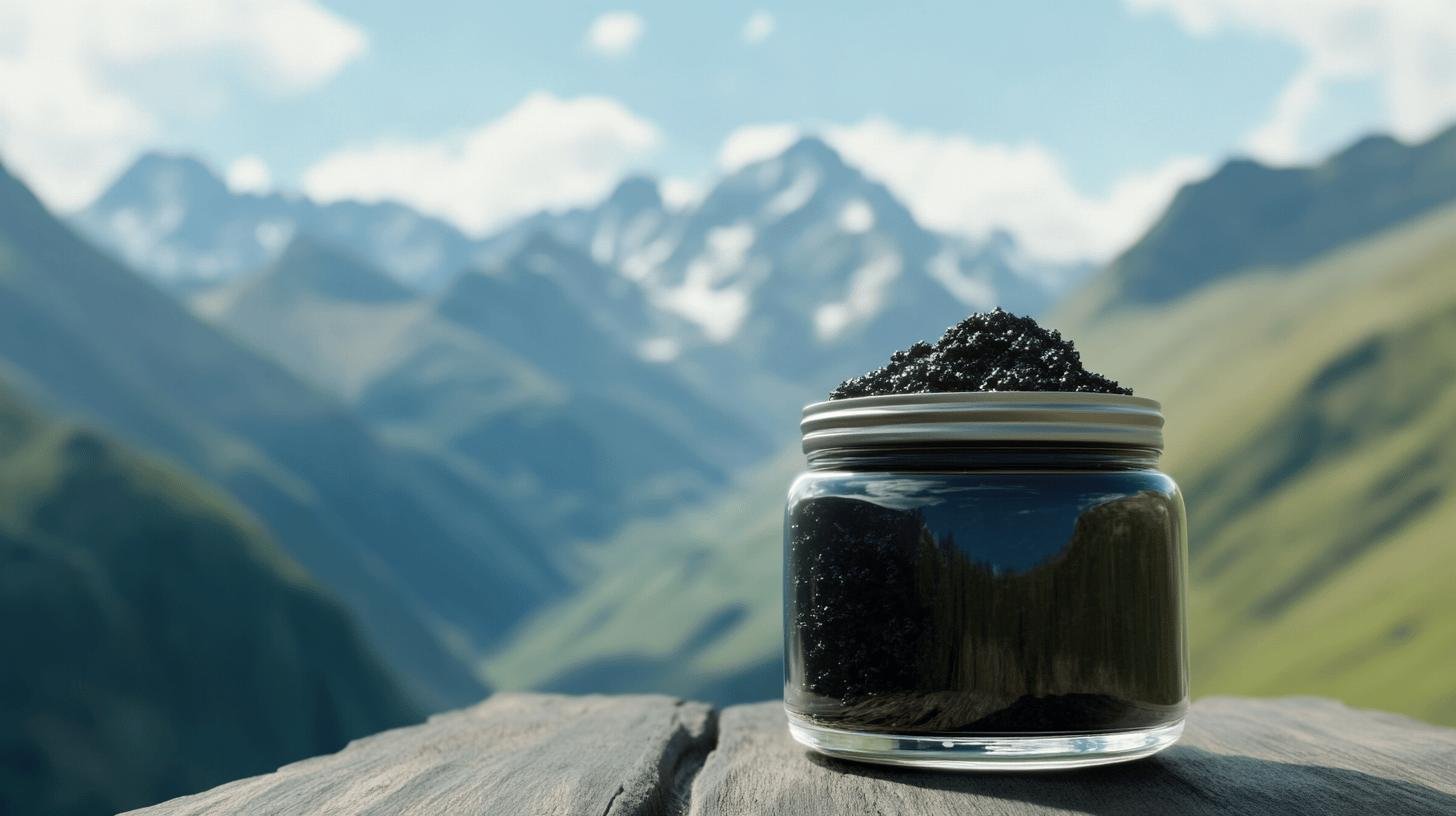 Shilajit Quest-ce que cest et ses bienfaits pour la gestion du stress-1.jpg