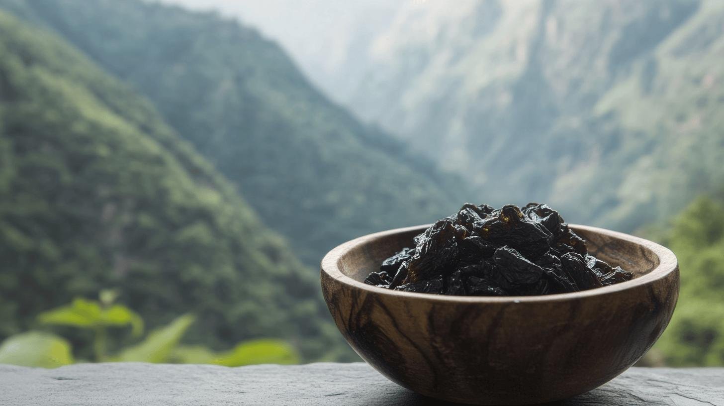 Comprendre le shilajit dans le contexte du cancer-1.jpg