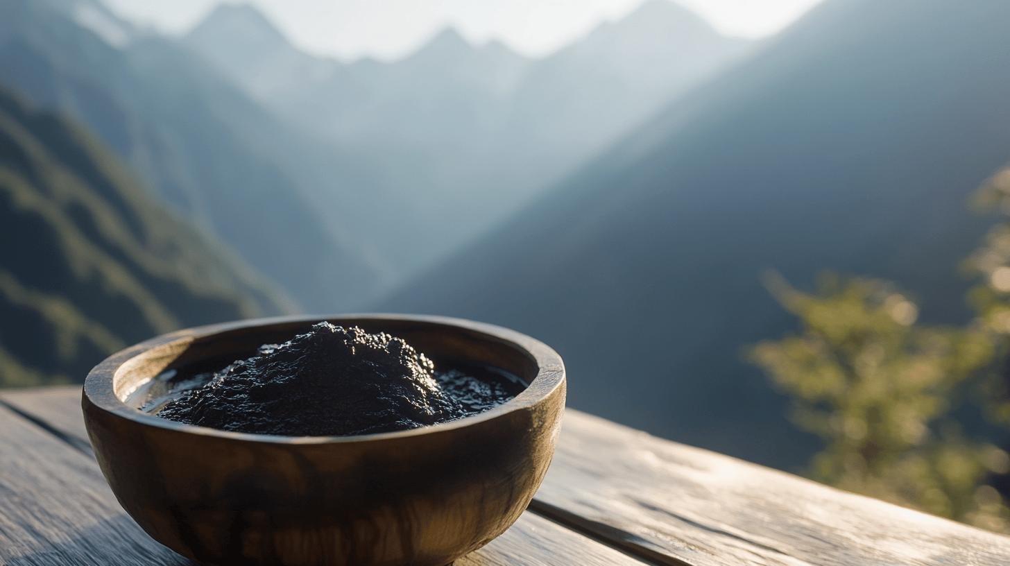 Comprendre quels sont les bienfaits du shilajit et ses origines-1.jpg